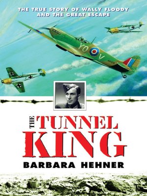 cover image of Tunnel King